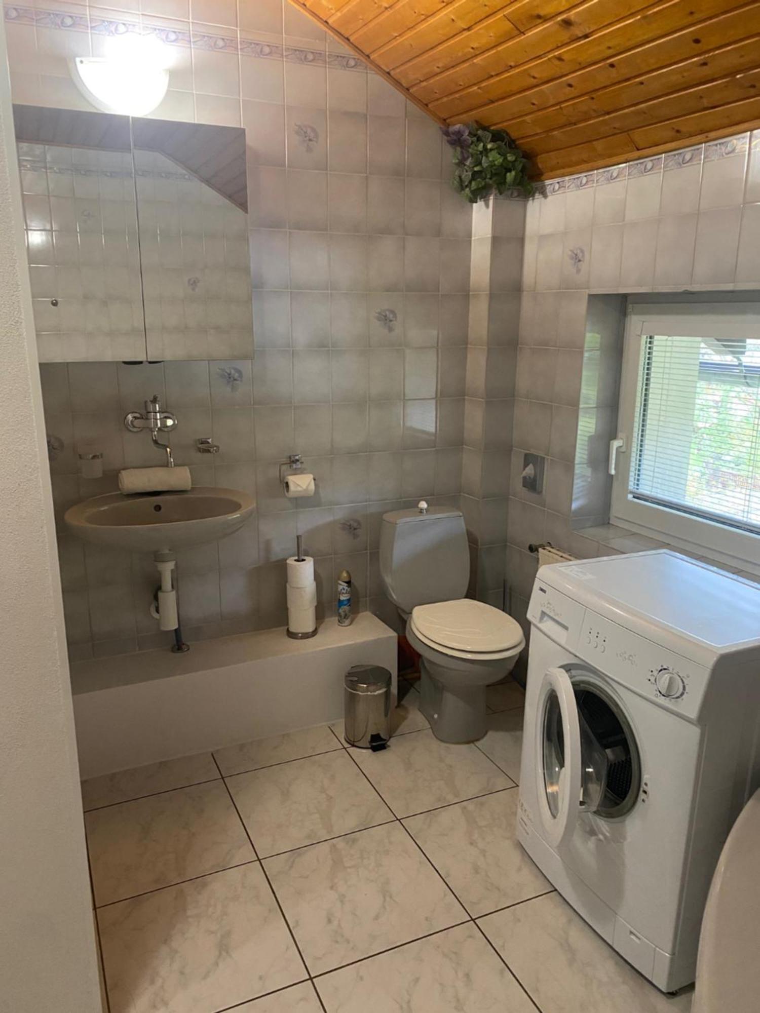 Apartmany Nad Rybnikem Železná Ruda Exteriör bild